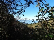 Земельный участок в Махинджаури с видом на море и на горы. Фото 1
