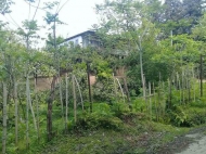House for sale with a plot of land in Makhindzhauri, Adzharia, Georgia. House with sea view. Photo 4