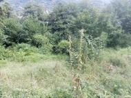 Продажа земельного участка в селе Хелвачаури, Аджария, Грузия. Фото 4