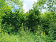 House for sale with a plot of land in the suburbs of Senaki, Georgia. Near the river. Photo 5