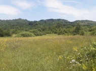 Продается земельный участок недалеко от озера Шаори Инвестиционная Рача. Грузия. Фото 2