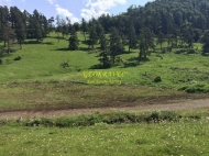 Ground area ( A plot of land ) for sale in Bakuriani. Georgia. Near the cableway Photo 4