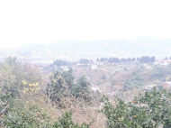 Land parcel, Ground area for sale in Akhalsopeli. Batumi, Georgia. Tangerine garden. Photo 1