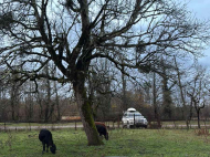 Купить частный дом с земельным участком в Абаша, Грузия. Фото 19