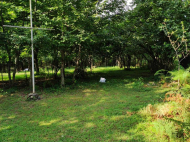 House for sale with a plot of land in the suburbs of Chohatauri, Georgia. Orchard. Walnut garden. Photo 4