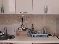 ყიდვა კერძო სახლის მიწის ნაკვეთით ქალაქგარეთ ბათუმში, ახალშენი. მანდარინის ბაღი, ხილის ბაღი.  ფოტო 11