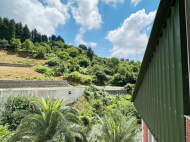 Продается частный дом с земельным участком в Эрге, Грузия. У реки. Природный родник. Фото 20