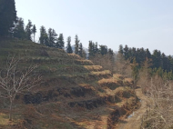 იყიდება მიწის ნაკვეთი სახალვაშო, საქართველო. ფოტო 6