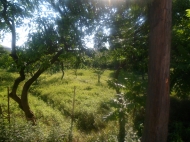 Земельный участок в Батуми в 300 метрах от моря. Фото 7
