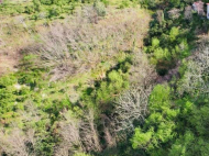 Land parcel, Ground area for sale in the suburbs of Batumi, Kapreshumi. Photo 4