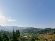 Купить частный дом с земельным участком в пригороде Батуми, Грузия. Фото 14