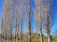 Купить частный дом с земельным участком в пригороде Самтредиа, Грузия. Фото 4