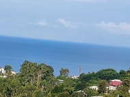 Продается частный дом в Букнари, Грузия. Вид на море. Фото 1