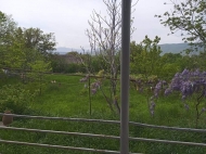 House for sale with a plot of land in the suburbs of Tbilisi, Mukhrani. Photo 11