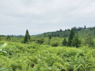 Land parcel for sale in Ozurgeti, Georgia. Photo 2