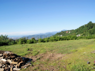 The plot of land for sale in the suburbs of Batumi, Georgia. Photo 6