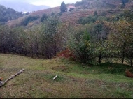 Land for sale in the village of Akhalsheni, Adjara, Georgia. Photo 4