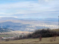 Купить земельный участок в пригороде Тбилиси. Цавкиси Фото 1