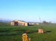 Купить земельный участок в пригороде Кутаиси, Грузия. Продается действующий сельскохозяйственный комплекс. Фото 2