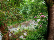 Продается частный дом у моря в Батуми, Грузия. Фото 7