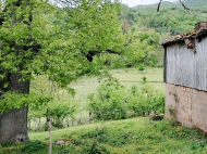 Купить частный дом в курортном районе Кутаиси, Грузия. Фото 6