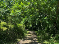 Продается частный дом с земельным участком в Цкаврока, Грузия.  Фото 4