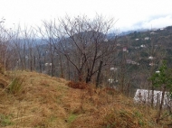 Участок в Батуми. Земельный участок с видом на море и город Батуми, Грузия. Фото 5