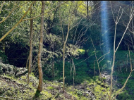 იყიდება მიწის ნაკვეთი ზღვასთან ურეკში, საქართველო. ფოტო 4