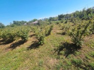 House for sale with a plot of land in the suburbs of Samtredia, Georgia. Photo 7