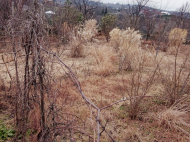 Land parcel, Ground area for sale in Kvirike, Georgia. Photo 2