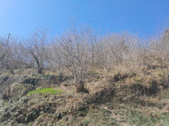 Land parcel, Ground area for sale in Erghe, Georgia. Photo 4