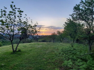 იყიდება კერძო სახლი მანდარინის ბაღით წყნარ რაიონში. ქობულეთი. საქართველო. ფოტო 3