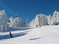 Ground area, Land parcel for sale in Bakuriani ski resort district of Georgia. Photo 1