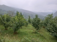 Land parcel, Ground area for sale on the river bank Keda, Adjara, Georgia. Land with mountains view. Photo 5