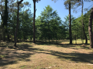 Land parcel, Ground area for sale in Ureki, Georgia. Photo 7