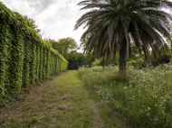 იყიდება კერძო სახლი პალიასტომის ტბის სანაპიროზე. ვყიდი კერძო სახლს პალიასტომის ტბასთან. საქართველო. ფოტო 17