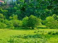 Land parcel, Ground area for sale in the suburbs of Batumi. Akhalsheni. Photo 5