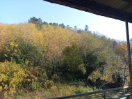 Купить дом с земельным участком в Кутаиси, Грузия. Фото 5