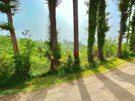 Land parcel, Ground area for sale at the seaside of Tsikhisdziri, Georgia. Sea view. Photo 3