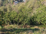 Земельный участок на продажу в пригороде Батуми, Грузия. Вид на море и горы. Фото 8
