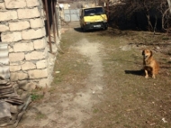 იყიდება სახლი ქალაქგარეთ თბილისში, საქართველო. ფოტო 3