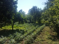 Дом с земельным участком в Чакви. Купить дом с видом на море и горы в Чакви, Грузия. Фото 2