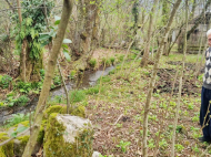 House for sale with a plot of land in Likhauri, Georgia. Photo 5