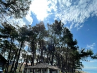 Продается частный дом у моря в Уреки, Грузия. Фото 2