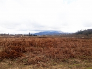 Land parcel, Ground area for sale in Mukhaestate, Georgia. Photo 3