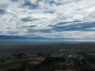 An existing agricultural complex for sale. Greenhouse. Photo 11