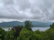 House for sale in a resort district of Tkibuli, Georgia. Natural spring, Orchard. Near the river. Photo 2