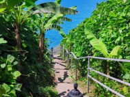 იყიდება კერძო სახლი მიწის ნაკვეთით ციხისძირში, საქართველო. ფოტო 4