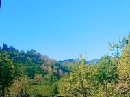 ყიდვა კერძო სახლის მიწის ნაკვეთით ოზურგეთი, საქართველო. ფოტო 7
