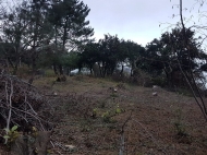 in the vicinity of the city of Batumi a plot of land for sale in a quiet residential area Photo 6
